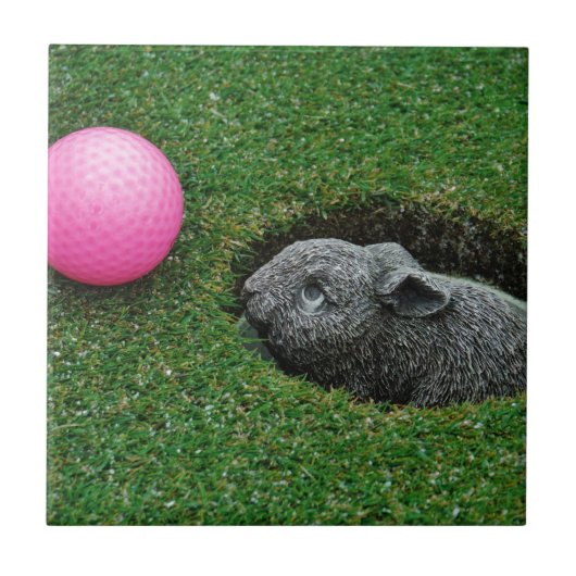 DSCF0652.JPG タイル (正面)