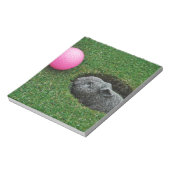 DSCF0652.JPG ノートパッド (回転)