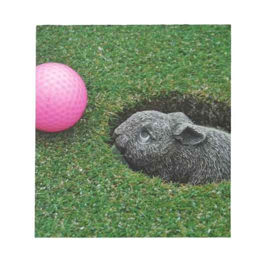 DSCF0652.JPG ノートパッド (正面)