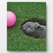 DSCF0652.JPG フォトプラーク (正面)