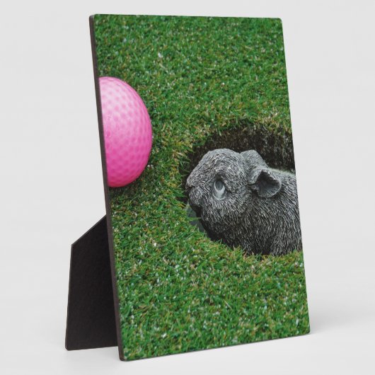 DSCF0652.JPG フォトプラーク (側面)