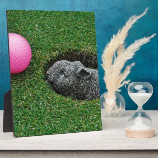 DSCF0652.JPG フォトプラーク (側面)