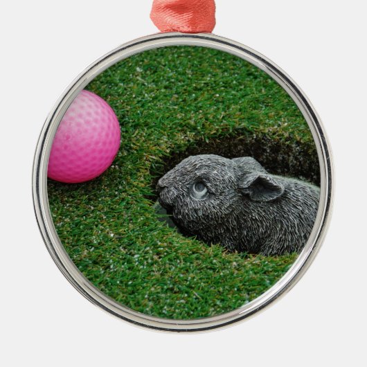 DSCF0652.JPG メタルオーナメント (正面)