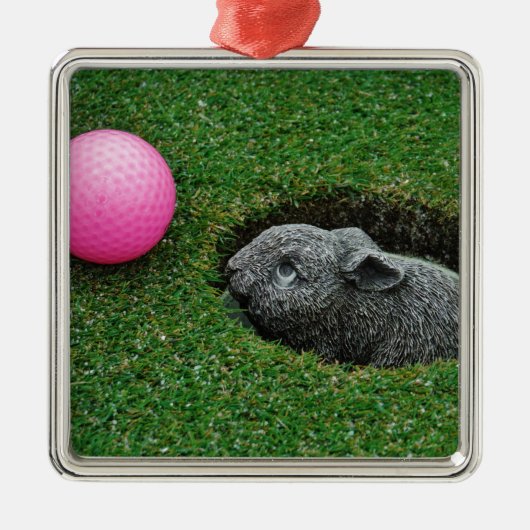 DSCF0652.JPG メタルオーナメント (正面)