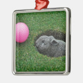 DSCF0652.JPG メタルオーナメント (左)