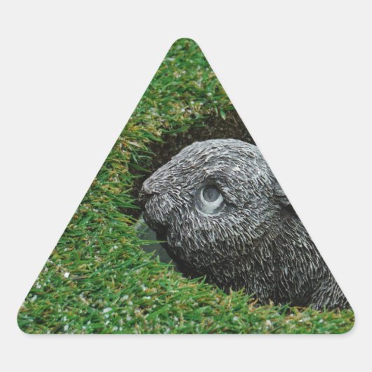 DSCF0652.JPG 三角形シール (正面)