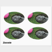 DSCF0652.JPG 楕円形シール (シート)