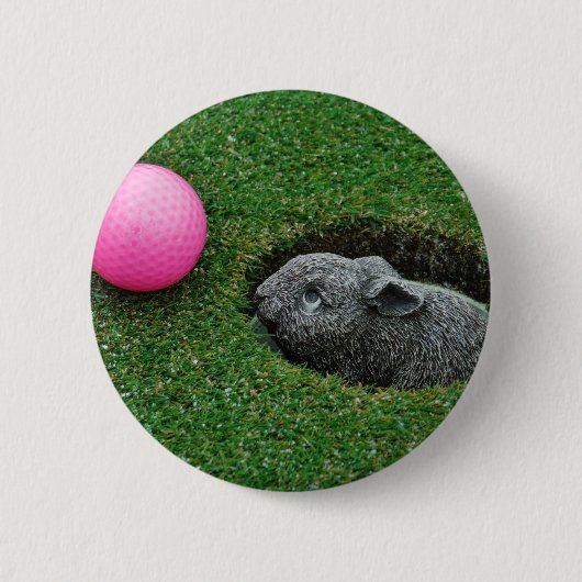 DSCF0652.JPG 缶バッジ (正面)