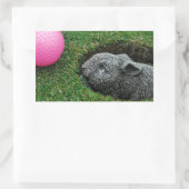 DSCF0652.JPG 長方形シール (バッグ)