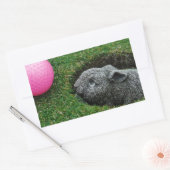 DSCF0652.JPG 長方形シール (封筒)