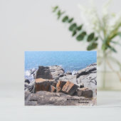 DSCF0691, Devonport, Tasmania Australia ポストカード (スタンド正面)