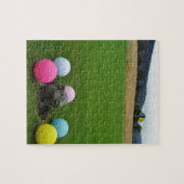 DSCF0692.JPG ジグソーパズル (横)