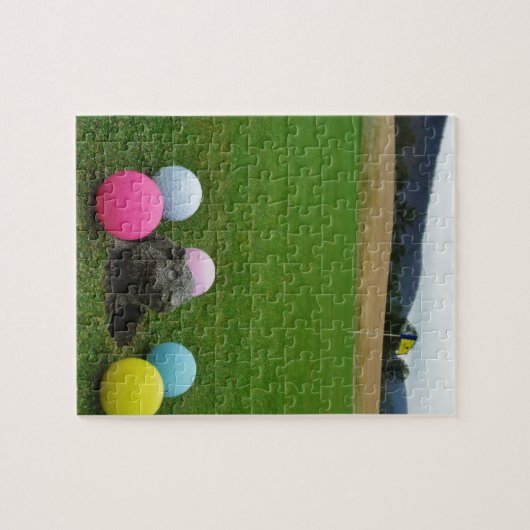 DSCF0692.JPG ジグソーパズル (横)