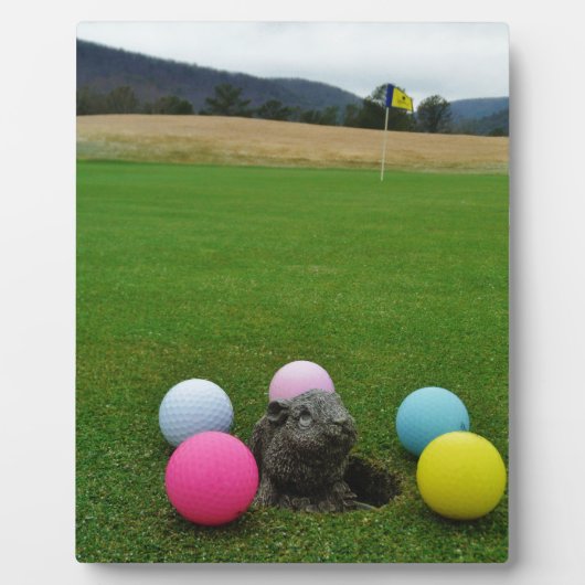 DSCF0692.JPG フォトプラーク (正面)