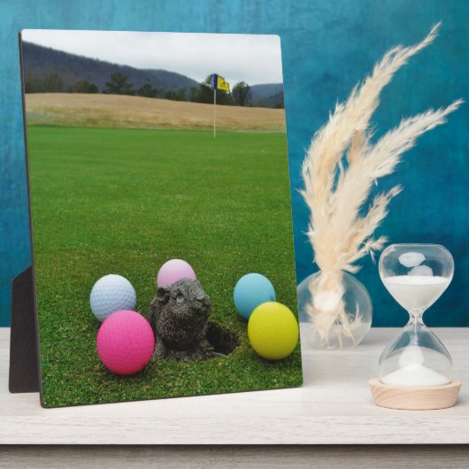 DSCF0692.JPG フォトプラーク (側面)