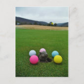 DSCF0692.JPG ポストカード (正面)