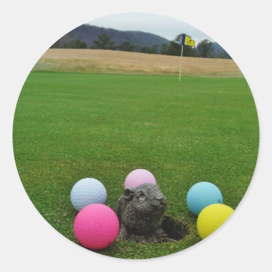 DSCF0692.JPG ラウンドシール (正面)