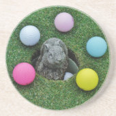 DSCF0698.JPG コースター (正面)