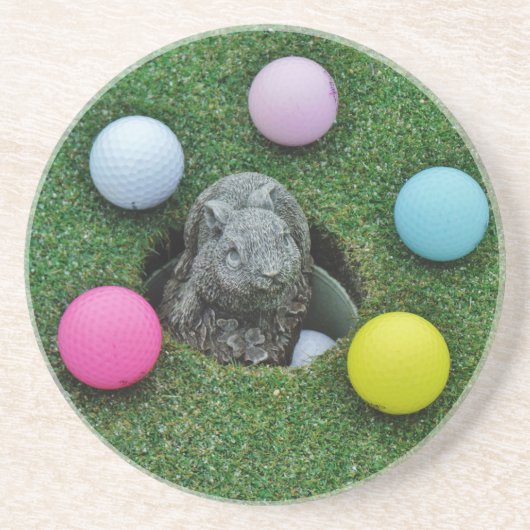 DSCF0698.JPG コースター (正面)