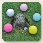 DSCF0698.JPG コースター (正面)