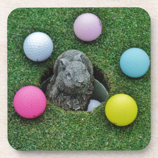 DSCF0698.JPG コースター (正面)