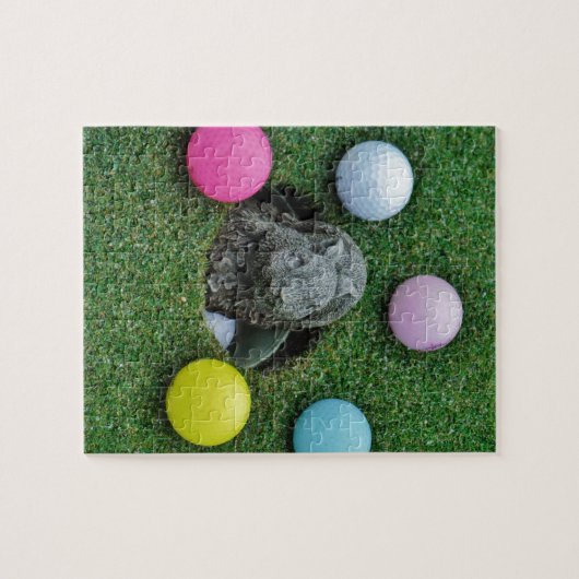 DSCF0698.JPG ジグソーパズル (横)