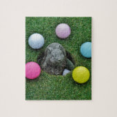 DSCF0698.JPG ジグソーパズル (縦)