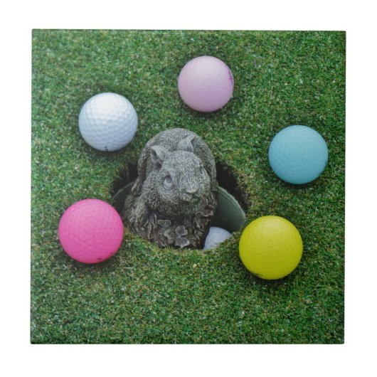 DSCF0698.JPG タイル (正面)