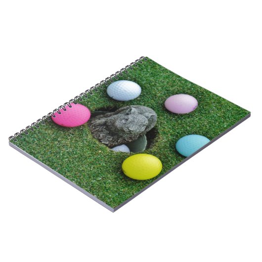 DSCF0698.JPG ノートブック (左側)