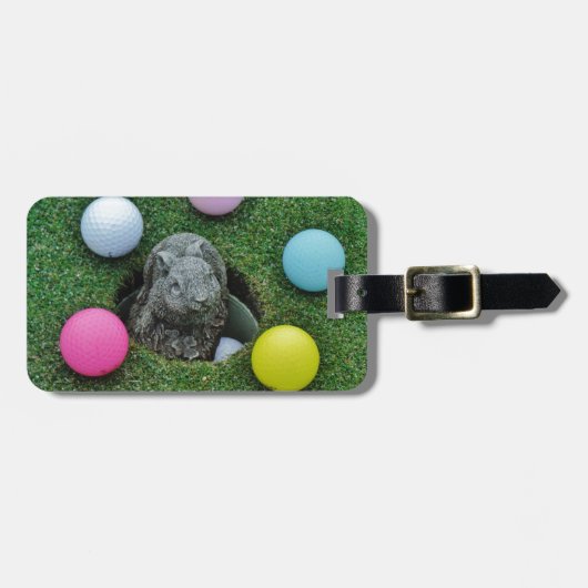 DSCF0698.JPG ラゲッジタグ (正面横)