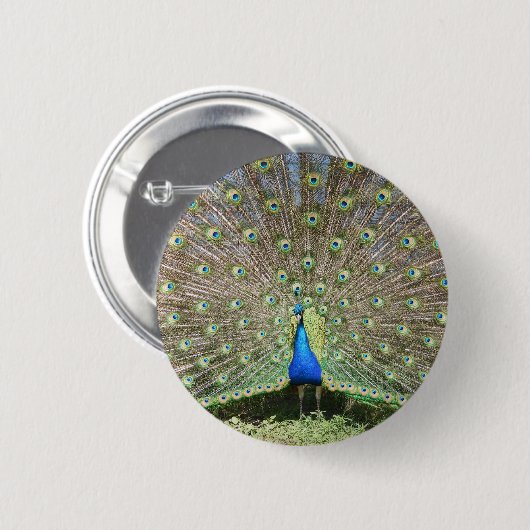 DSCF1062 缶バッジ (正面&裏面)