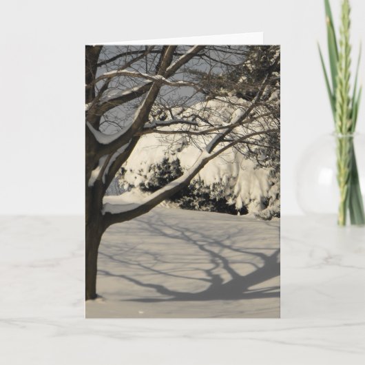 DSCF1184，そりを使う シーズンカード (正面)