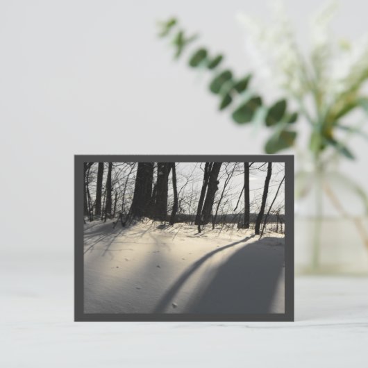 DSCF1204 ポストカード (スタンド正面)