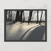 DSCF1204 ポストカード (正面)