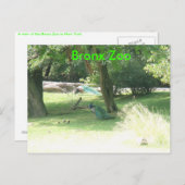 DSCF2638, ブロンクス動物園 ポストカード (正面/裏面)