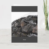 DSCF2774 シーズンカード (裏面)