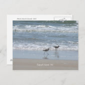 DSCF2949, Topsail Island, NC ポストカード (正面/裏面)