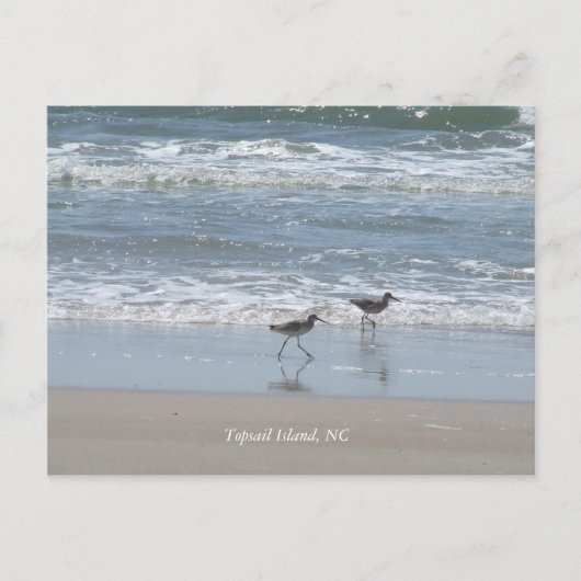 DSCF2949, Topsail Island, NC ポストカード (正面)