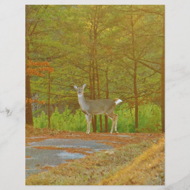 DSCF4041.JPG (正面)