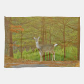 DSCF4041.JPG キッチンタオル (横)