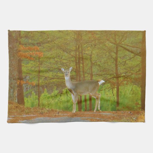 DSCF4041.JPG キッチンタオル (横)