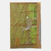 DSCF4041.JPG キッチンタオル (縦)