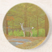 DSCF4041.JPG コースター (正面)