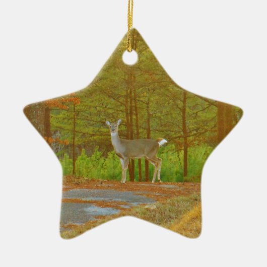 DSCF4041.JPG セラミックオーナメント (正面)