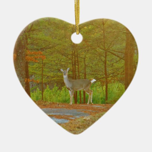 DSCF4041.JPG セラミックオーナメント (正面)