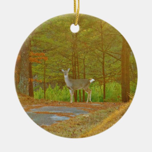 DSCF4041.JPG セラミックオーナメント (正面)