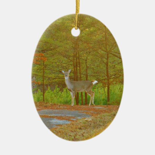 DSCF4041.JPG セラミックオーナメント (正面)