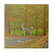 DSCF4041.JPG タイル (正面)