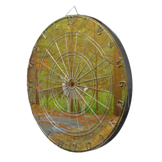 DSCF4041.JPG ダーツボード (正面右)