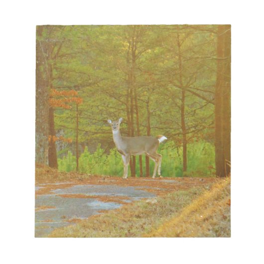 DSCF4041.JPG ノートパッド (正面)